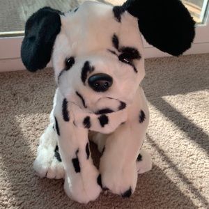 Hello my name is Dotty. I am a Dalmatian looking for a good home.